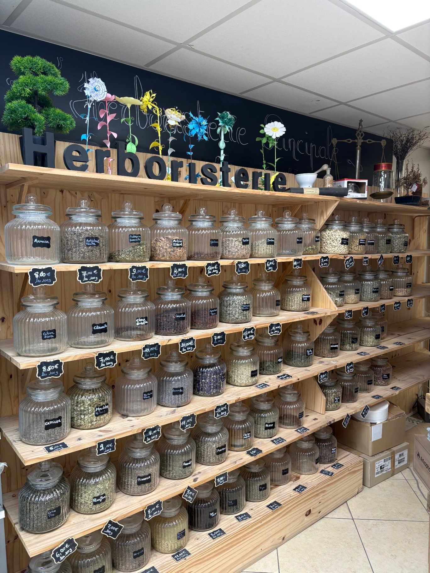 Herboristerie — bocaux de plantes médicinales à la Pharmacie Principale de Pertuis